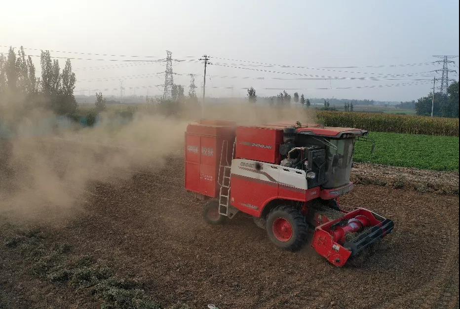 中聯(lián)收獲花生機(jī)幫我解決了家里的經(jīng)濟(jì)危機(jī) 1637232607267289.jpg