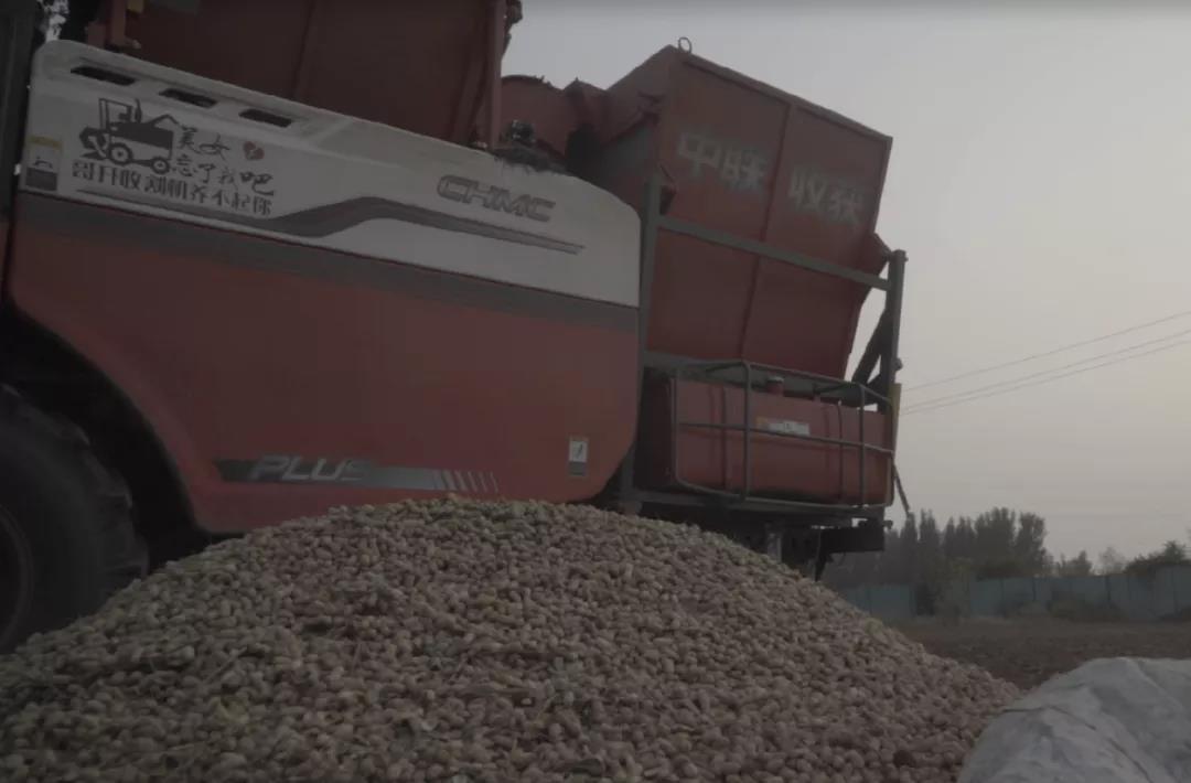 中聯(lián)收獲花生機(jī)幫我解決了家里的經(jīng)濟(jì)危機(jī) 1637232667921070.jpg