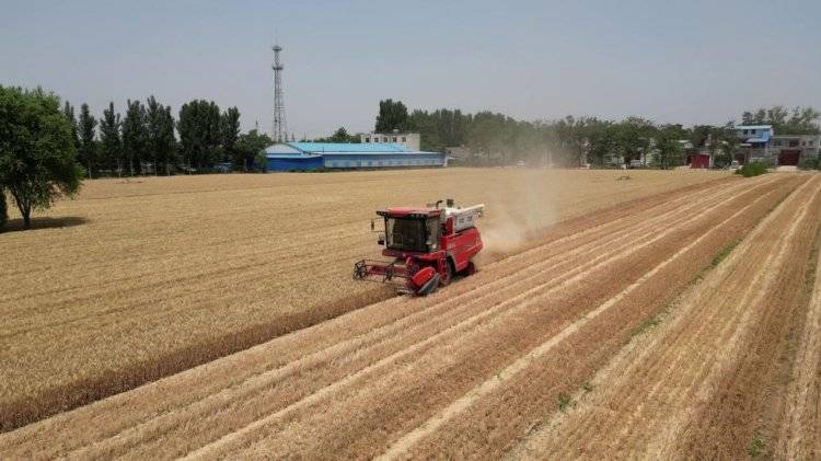 中聯(lián)收獲經(jīng)銷商的堅守:永保服務(wù)品質(zhì) 延續(xù)品牌榮耀