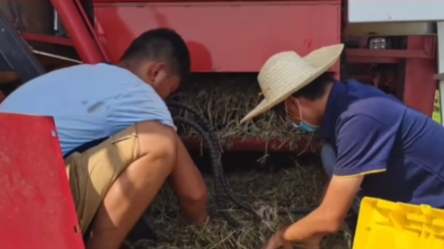 張新龍命運的齒輪開始轉(zhuǎn)動源于中聯(lián)收獲 640 (3).png