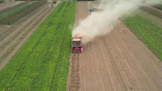 柴海峰:
中聯(lián)收獲花生機 成績顯著獲口碑